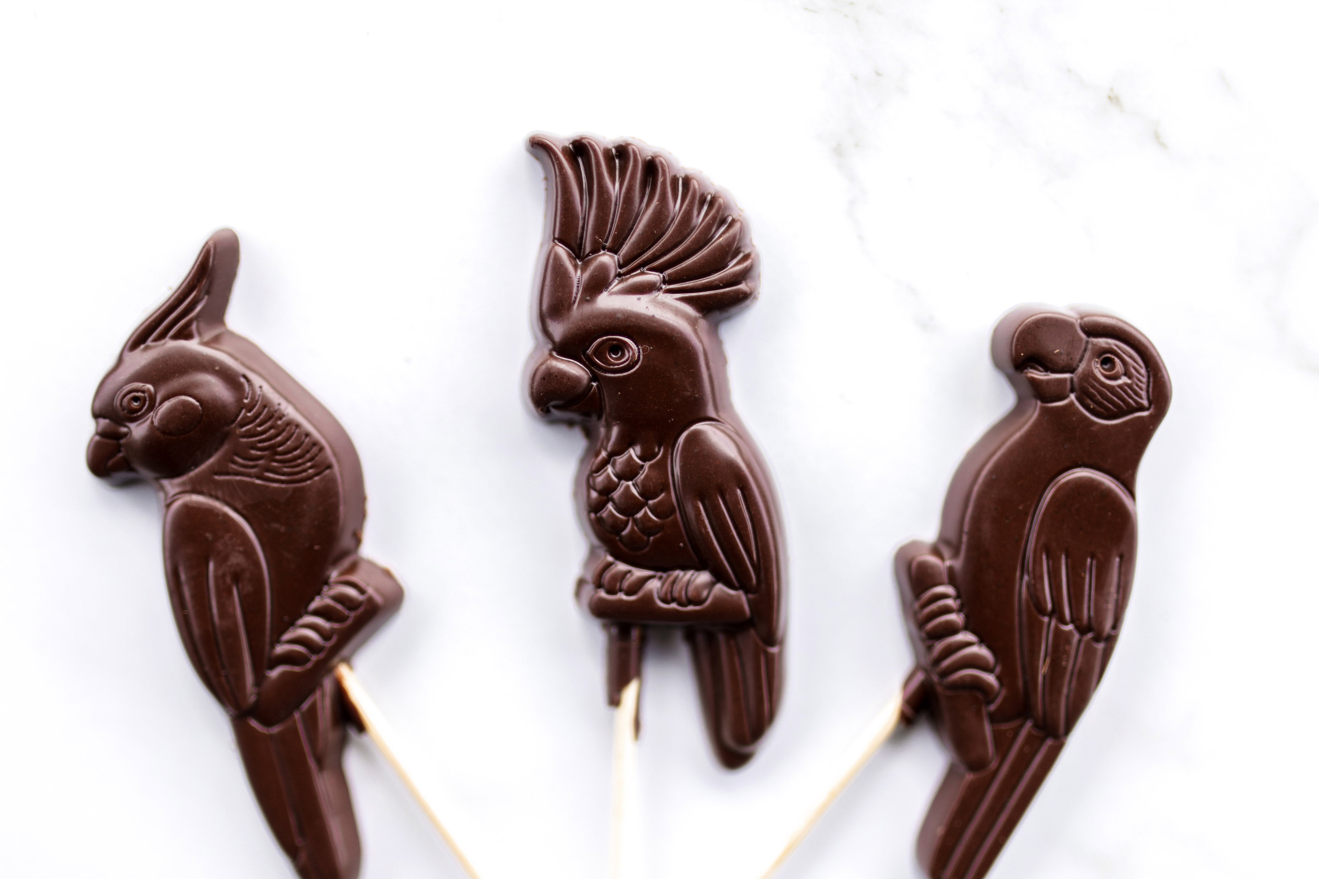 Pack of six native Australian bird chocolates on bamboo sticks